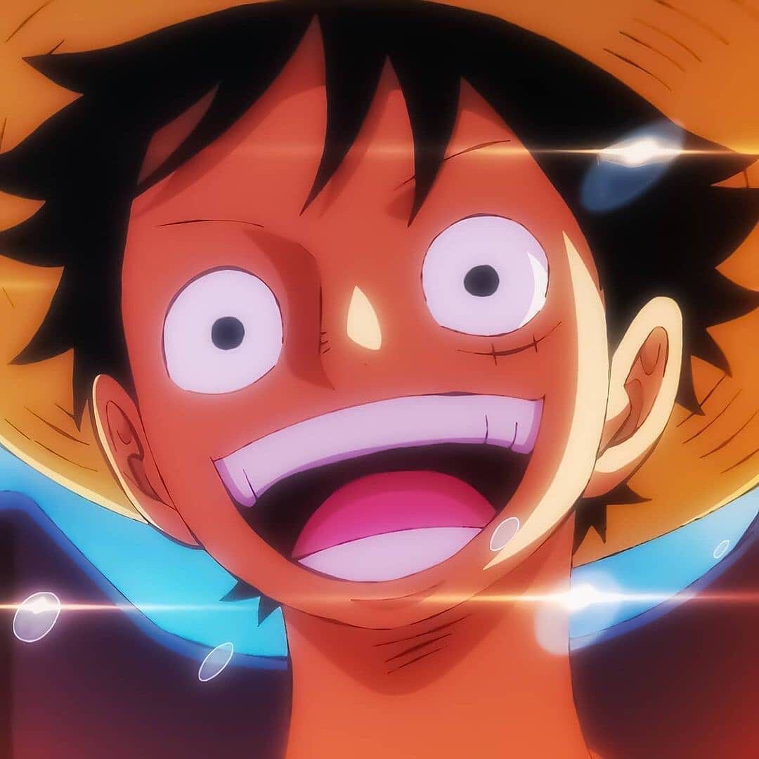 Moneky D. Luffy - The future Pirate King